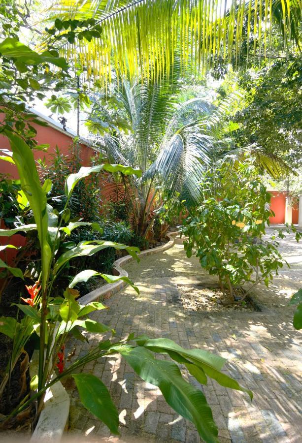 Casa De Abuelos - Joya Colonial * Mérida