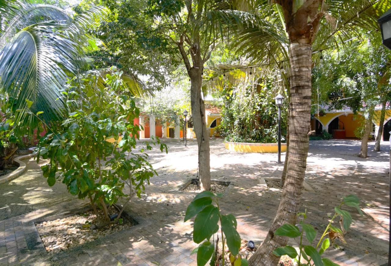 Casa De Abuelos - Joya Colonial * Merida